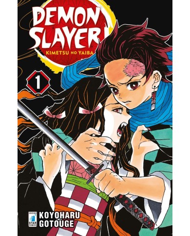 Demon Slayer - Kimetsu No Yaiba 1