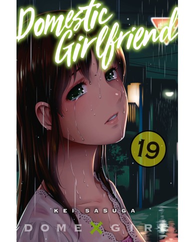 Domestic Girlfriend 19