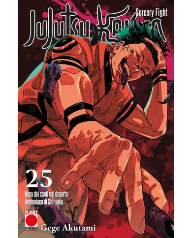 Jujutsu Kaisen 25