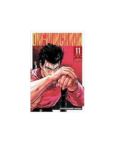 One-Punch Man 11