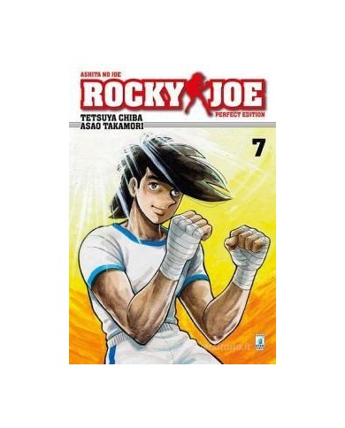 Rocky Joe Perfect Edition 7