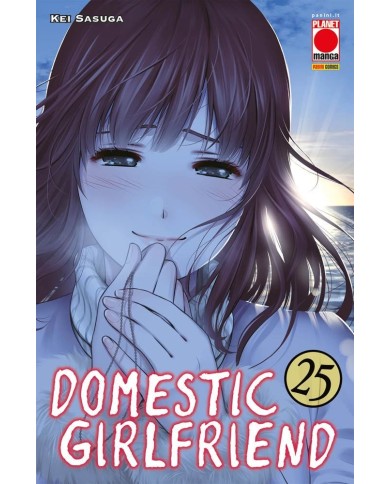 Domestic Girlfriend 25