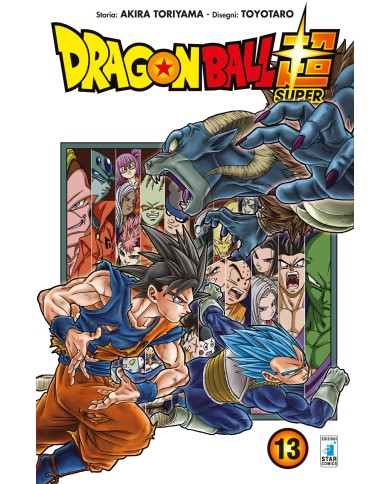 Dragon Ball Super 13